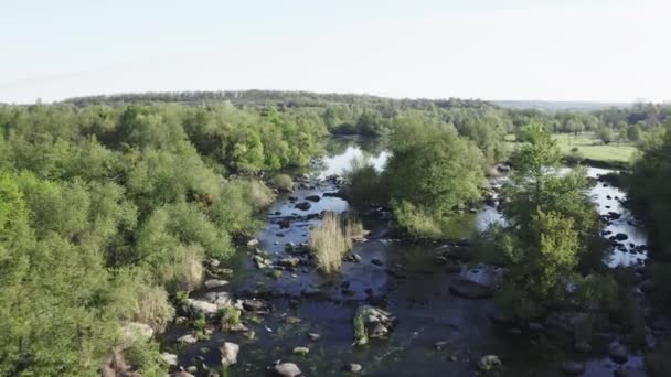 Ciepły wiosenny dzień nad Dziką Rzeką. Strzał z powietrza drona. — Wideo stockowe