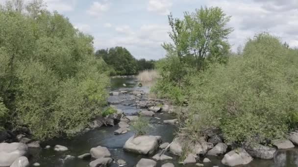 푸른 나무들 과들 강에 있는 큰 바위들 사이로 흐르는 드론. — 비디오