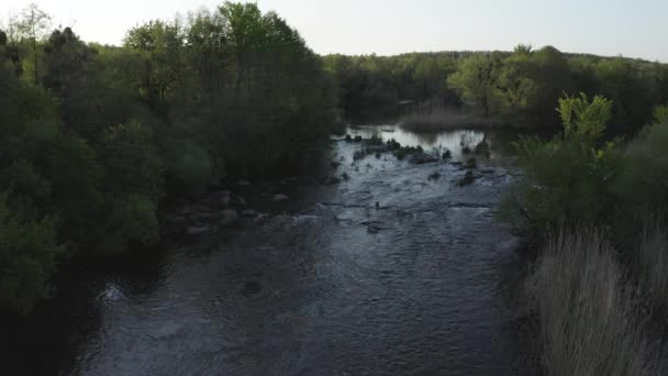 Divoká řeka s rychlou pramenitou vodou. — Stock video