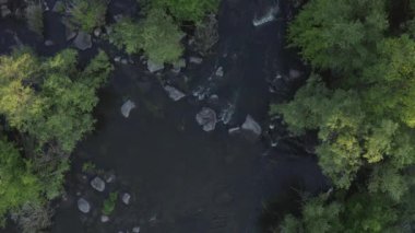 Ağaçların tepesine ve hızlı nehir suyuna bakın. İHA hava görüntüleri