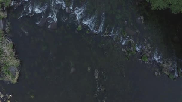 Pohled dolů na bezpilotní létání na divoké řece — Stock video