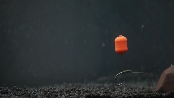 Montaż karpiowego podajnika płaskiego pod wodą — Wideo stockowe