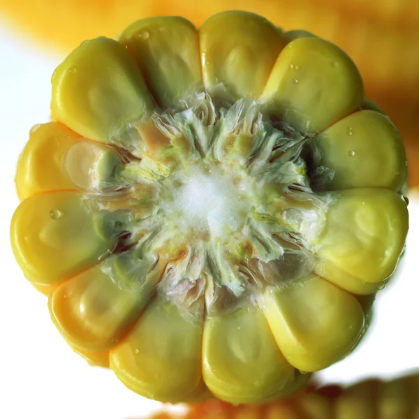 Αραβόσιτος κίτρινο φρέσκο καλαμπόκι — Φωτογραφία Αρχείου