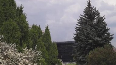 modern Cam bina yaprak dökmeyen ağaçları ile çevrili