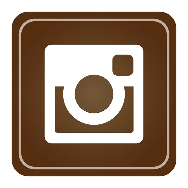 Ícone de instagram web original — Vetor de Stock