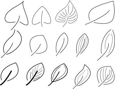 Vektör yaprak kümesi