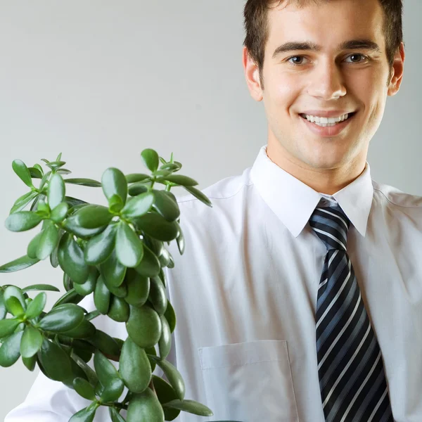 Empresario o estudiante con maceta —  Fotos de Stock