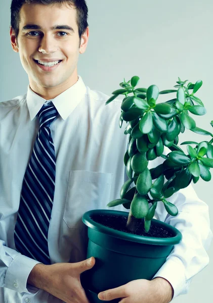 Jeune homme d'affaires heureux ou étudiant avec pot de fleurs — Photo