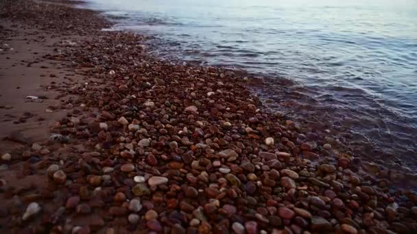 Close Shot Beautiful Beach Pebble Stones — Stock Video