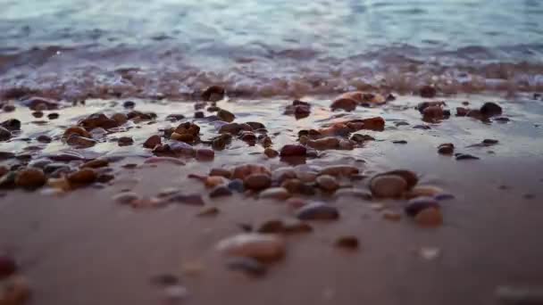 Close Shot Beautiful Beach Pebble Stones — Stock Video