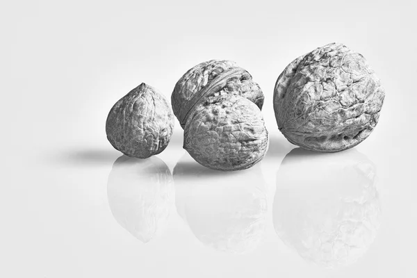 Четыре грецких ореха отражения — стоковое фото