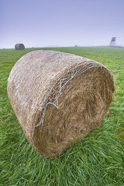 Silage on meadow — Stock Photo, Image