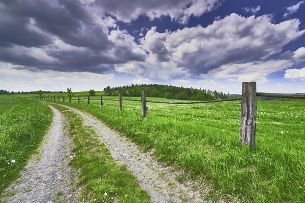 Path with fence — Stock Photo, Image