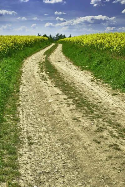 Toprak yol ve tecavüz — Stok fotoğraf