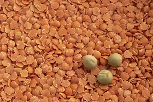 Pea and lentils — Stock Photo, Image