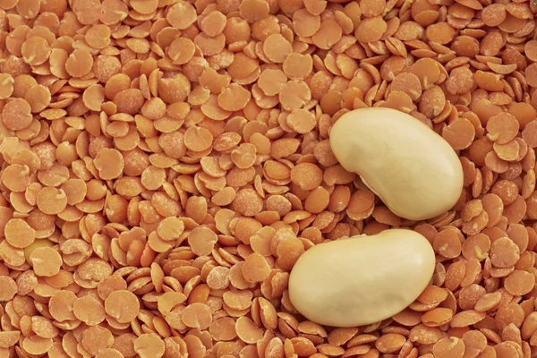 Feijão e lentilhas — Fotografia de Stock