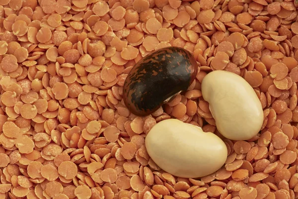 Beans and lentils — Stock Photo, Image