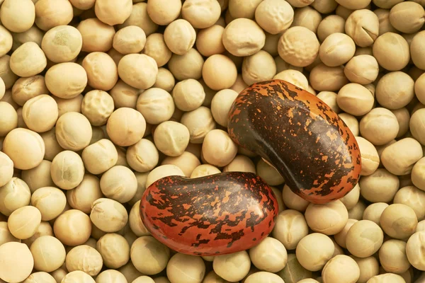 Beans and pea — Stock Photo, Image