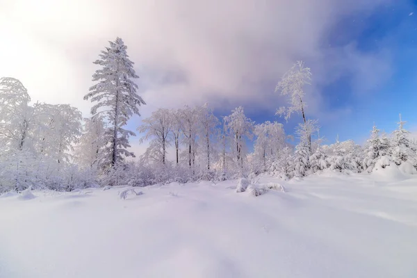 Zonnig Besneachtig Landschap Met Bomen Bergen — Stockfoto