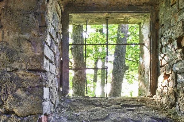 Old barred window — Stock Photo, Image