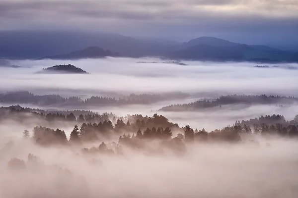 Heuvelachtig landschap met mist — Stockfoto