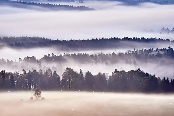 Ranní mlha — Stock fotografie