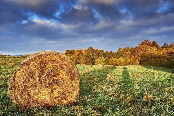 Autumn meadow — Stock Photo, Image