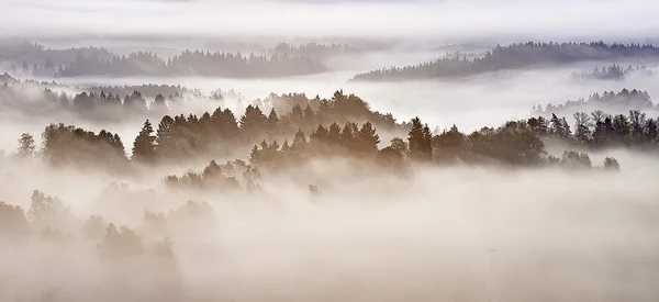 Nebbia mattutina — Foto Stock