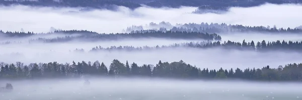 Morning fog — Stock Photo, Image