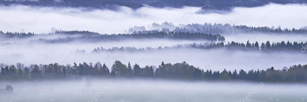 Morning fog