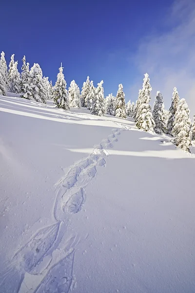 Paesaggio invernale — Foto Stock