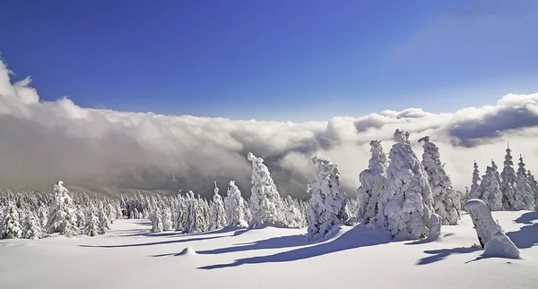 Winterlandschap — Stockfoto