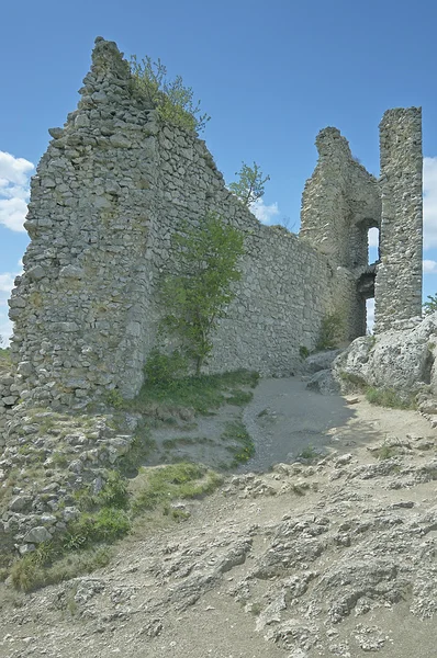Castle Ruins Orphan castle — Stock Photo, Image
