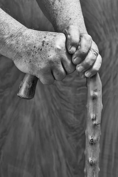 Hands and stick — Stock Photo, Image