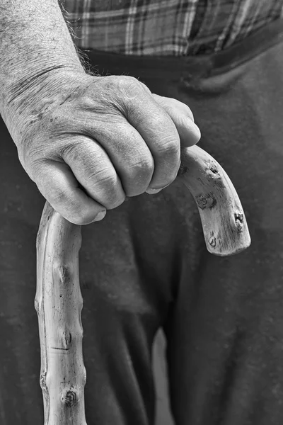 Hands and stick — Stock Photo, Image