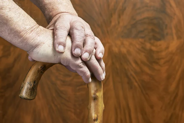 Hands and stick — Stock Photo, Image