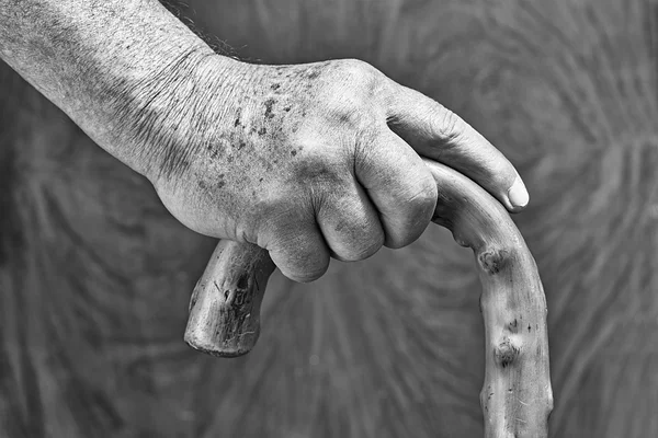 Hands and stick — Stock Photo, Image