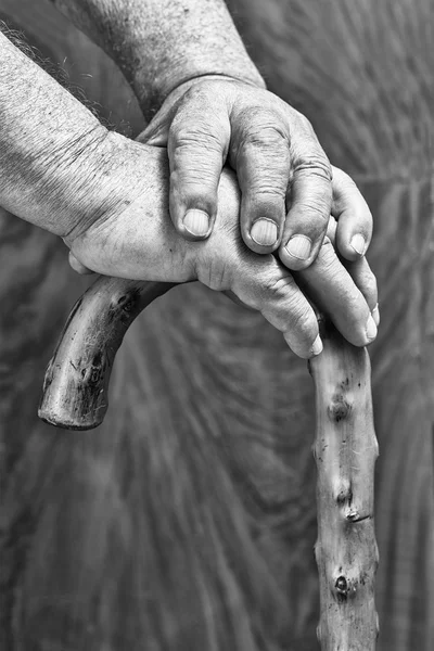 Mãos e pau — Fotografia de Stock