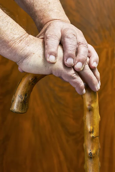 Hands and stick — Stock Photo, Image