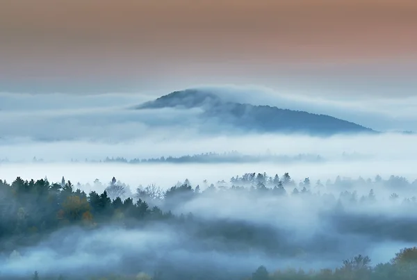 Mlhavé ráno v krajině — Stock fotografie