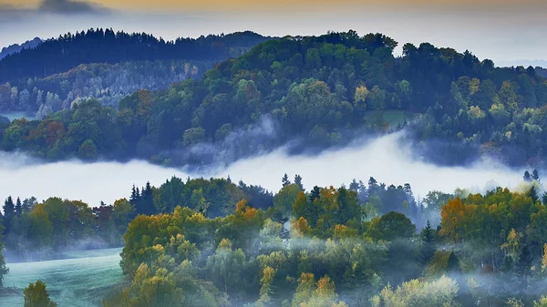 Nebliger Morgen in der Landschaft — Stockfoto