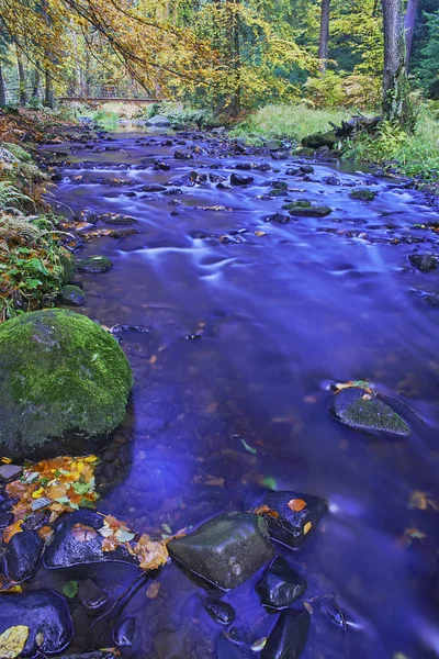 Blick auf den Herbstbach — Stockfoto