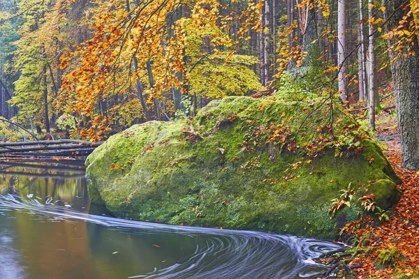 秋の小川のビュー — ストック写真