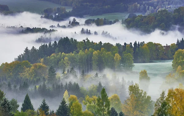 Foggy morning in the landscape — Stock Photo, Image