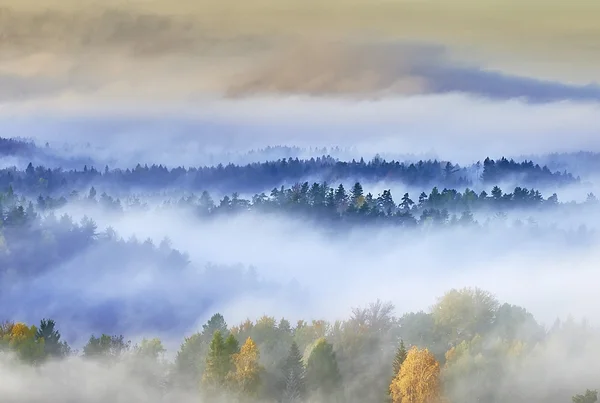 Mlhavé ráno v krajině — Stock fotografie