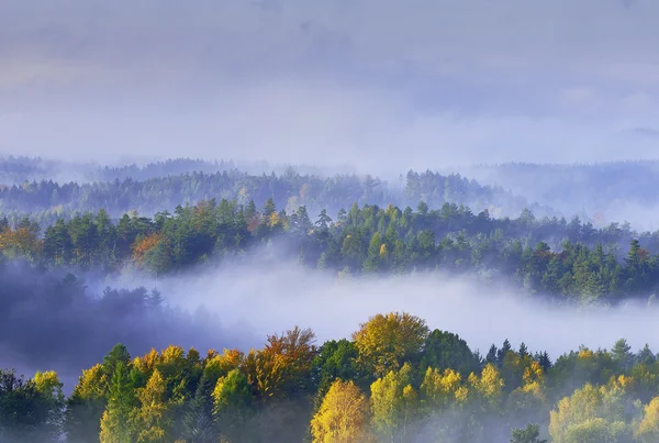 Dimmig morgon i landskapet — Stockfoto