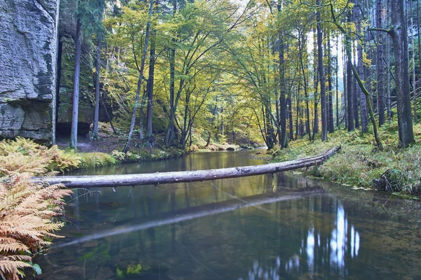 Herbst Fluss mit Bäumen — Stockfoto