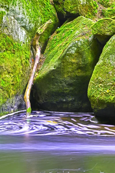 Outono ribeiro e pedra — Fotografia de Stock