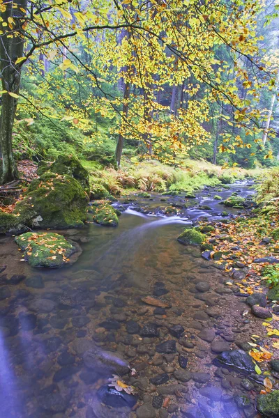 Осенний ручей и камень — стоковое фото