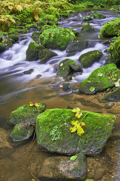 Autumn brook and stone — Stock Photo, Image